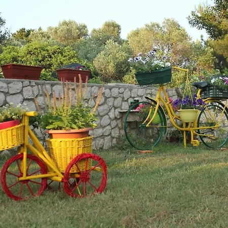 With Parking Space Cunski, Losinj - 7867