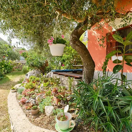 Apartments With A Parking Space Cunski, Losinj - 7867 Apartment *